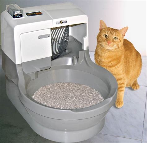 how to get cat used to electric litter box|how to maintain litter box.